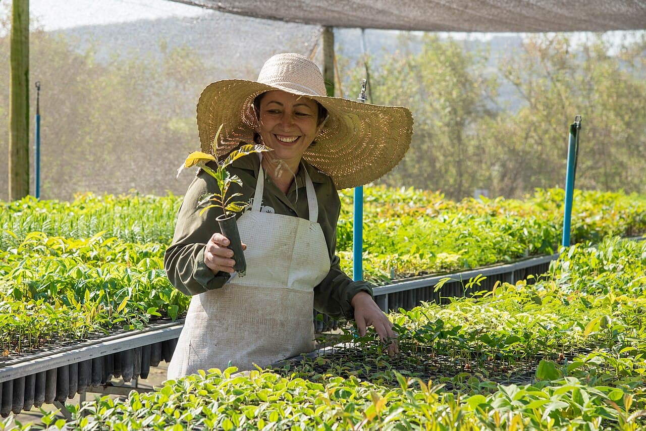 Viveirista sorri segurando uma muda em tubete, entre bancadas de mudas sob sombrite