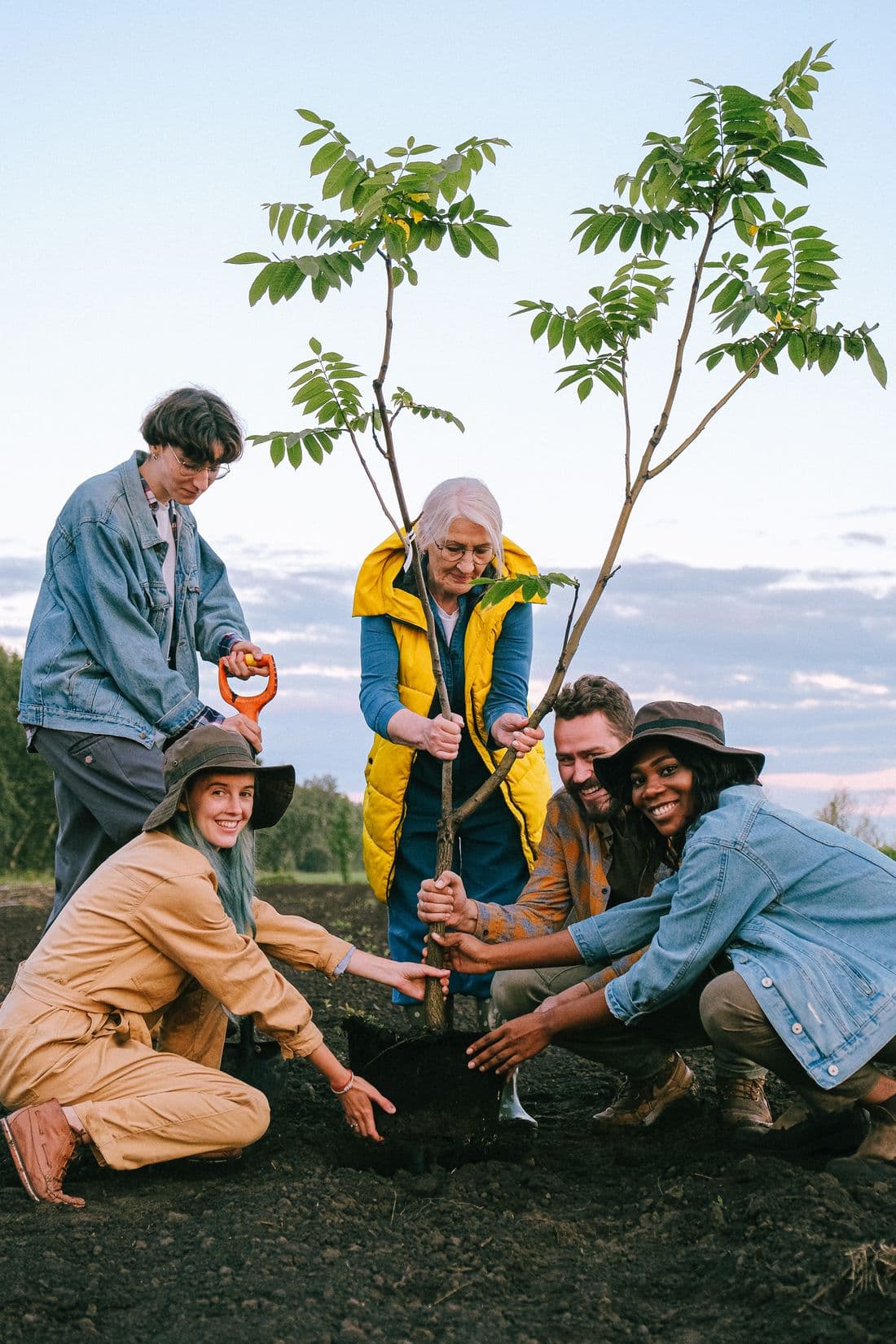 Grupo de pessoas sorridentes plantando juntas uma árvore jovem